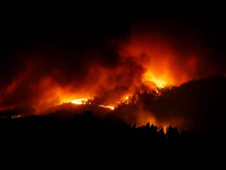 Portugal forest fire death toll rises to 39 as firefighters struggle to reach affected areas