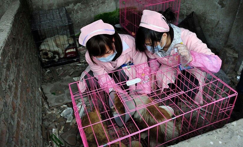Representational image. Reuters