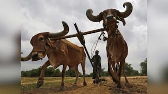 Not more than 10,000 farmers will take part in loan waiver strike: Maha agriculture minister