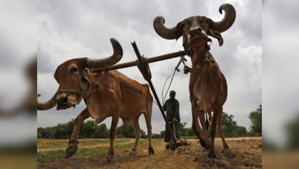 Not more than 10,000 farmers will take part in loan waiver strike: Maha agriculture minister
