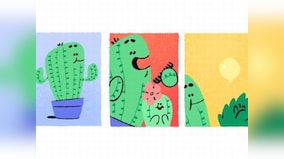 Father's Day 2017: Google releases Cactus Daddy doodle to commemorate occasion