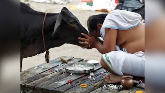 'Gau rakshaks' should be felicitated, says Vishwa Hindu Parishad's Surendra Jain