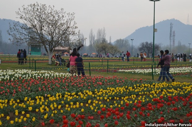 The 33-hectare Tulip Garden in Srinagar is the new addition to Kashmir’s tourism spots since 2008. However, in recent months, after the national media have been swamped with stories of violence in the Valley, tourist arrivals declined.