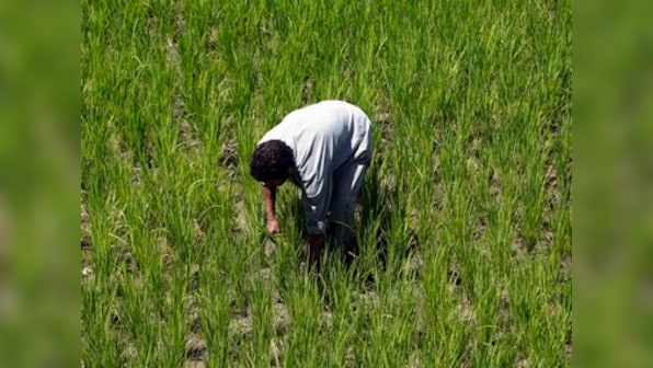 Farmer crisis: Are we a nation of dimwits and freeloaders unable to think beyond freebies?