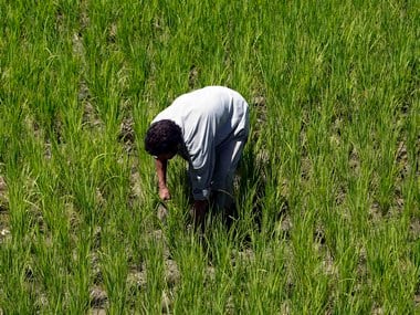 Farmer crisis: Are we a nation of dimwits and freeloaders unable to think beyond freebies?