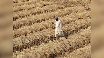 Uttarakhand: Farmer commits suicide in Udham Singh Nagar district; CM Trivendra Rawat orders probe