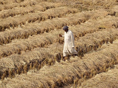 Uttarakhand: Farmer commits suicide in Udham Singh Nagar district; CM Trivendra Rawat orders probe Uttarakhand: Farmer commits suicide in Udham Singh Nagar district; CM Trivendra Rawat orders probe