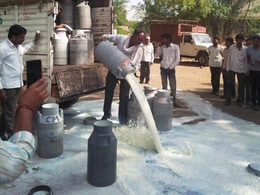 Milk being thrown as a sign of protest in Maharashtra. PTI