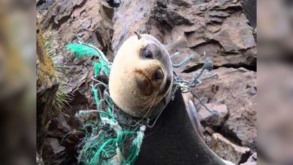 10 things you did not know about the environment – A World Environment Day Special
