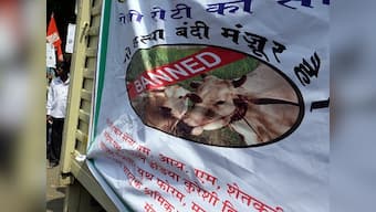 Man, sister-in-law arrested for cattle slaughter in UP; cow hide and butcher tools seized from house