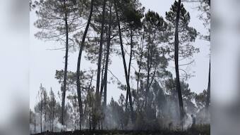 Portugal forest fire: Firefighters evacuate more towns as deadly blaze spreads northwards