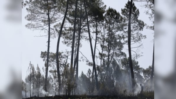 Portugal forest fire: Firefighters evacuate more towns as deadly blaze spreads northwards