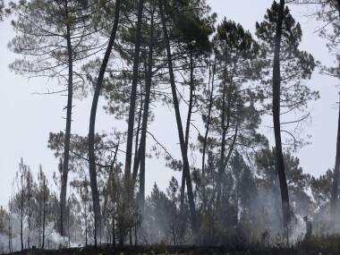 Portugal forest fire: Firefighters evacuate more towns as deadly blaze spreads northwards