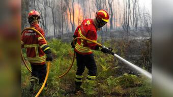 Portugal fire: Officials await water-dropping planes from Spain, France, Italy to fight deadly wildfires