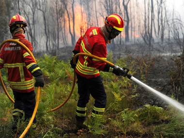 US wildfires: California governor Jerry Brown declares emergency as thousands forced to flee US wildfires: California governor Jerry Brown declares emergency as thousands forced to flee