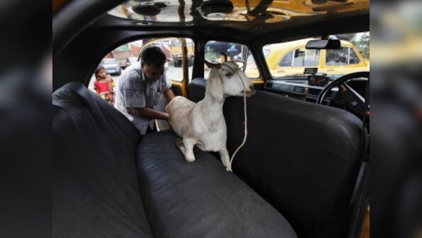 Gangsters Act to be invoked against those sacrificing cattle during Bakrid in Uttar Pradesh's Sambhal district