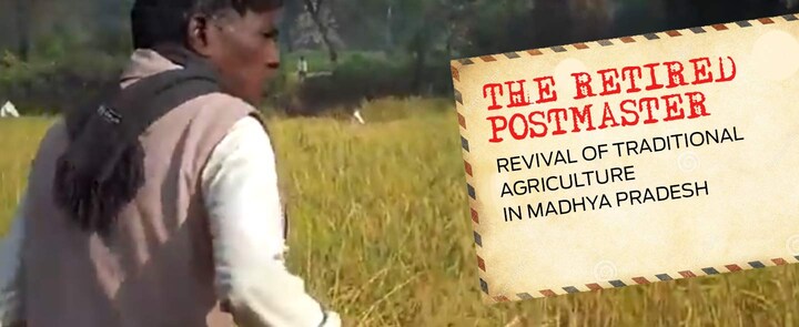 Video Volunteers: How a retired postmaster is reviving traditional agriculture in Madhya Pradesh