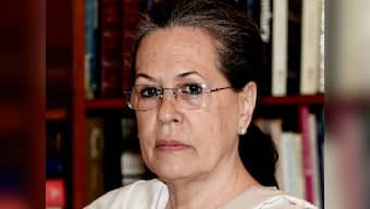 'Deliberate attempt to subvert idea of India': Sonia Gandhi launches scathing attack on state of country since 2014