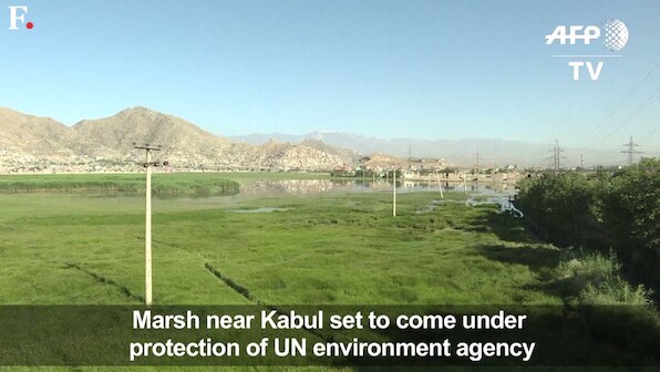 Watch: War-torn Kabul becomes a protected site for migratory birds