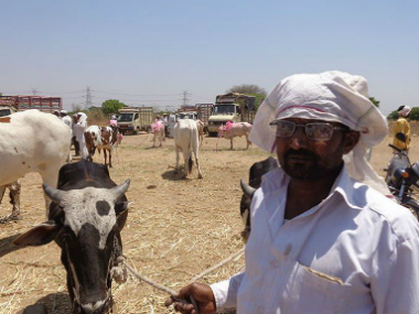 Marathwada Diary: Beef ban adds to agrarian crisis, forces debt-ridden farmers try to sell cattle Marathwada Diary: Beef ban adds to agrarian crisis, forces debt-ridden farmers try to sell cattle