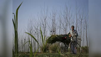 Debt-ridden farmer's body found from a pond in Uttar Pradesh's Sambhal district