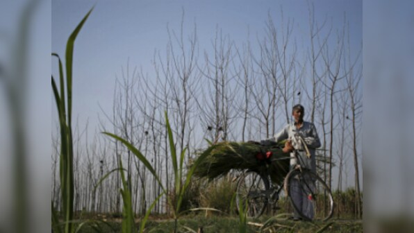 Amid farmer protests, govt extends interest subsidy on short-term crop loans