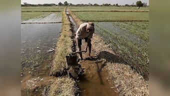 On International Yoga Day, UP farmers protest govt policies by performing 'shavasana'