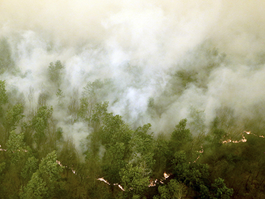 More than 700 people evacuated in Spain due to forest fire threats More than 700 people evacuated in Spain due to forest fire threats