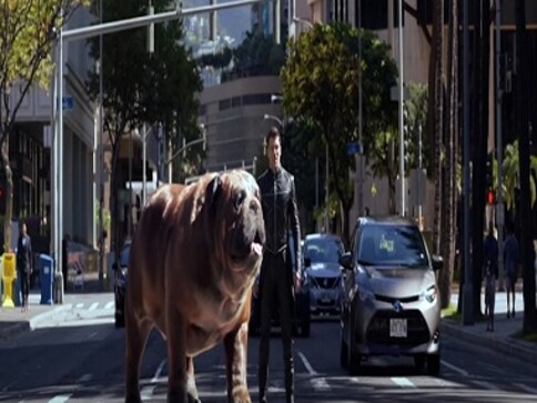 Marvel&rsquo;s Inhumans trailer: Lockjaw, a giant bulldog, is star attraction of this TV series