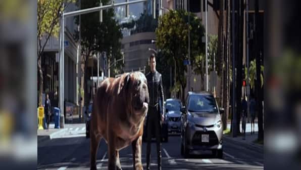 Marvel's Inhumans trailer: Lockjaw, a giant bulldog, is star attraction of this TV series