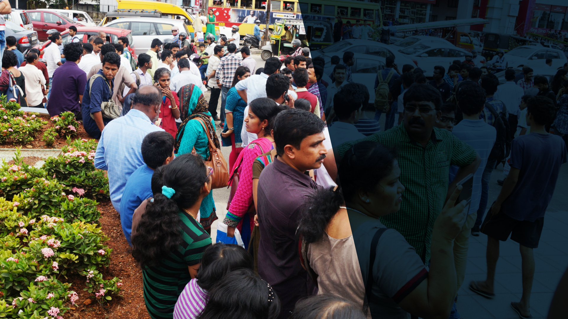 The Promised Land: Kerala's reverse exodus The Promised Land: Kerala's reverse exodus