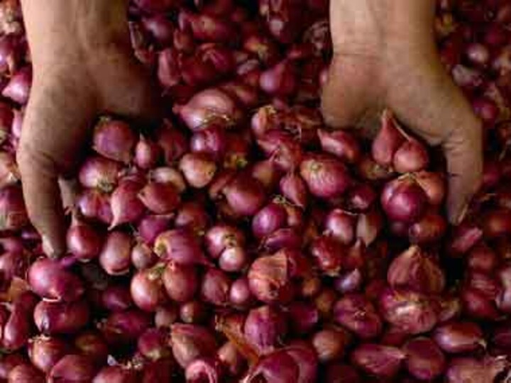 Nirmala Sitharaman says govt approves import of 1.2 lakh tonnes onions to check rising prices