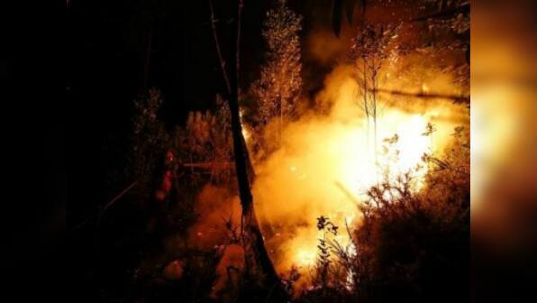 Portugal fire: Death toll rises to 62, another 59 injured and taken to hospital