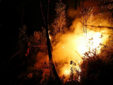 Portugal fire: Death toll rises to 62, another 59 injured and taken to hospital Portugal fire: Death toll rises to 62, another 59 injured and taken to hospital