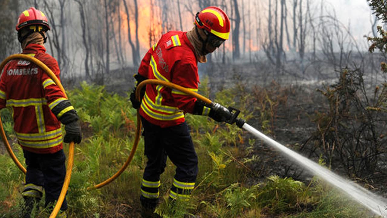 Portugal blaze Fresh forest fires break out near Serta month after