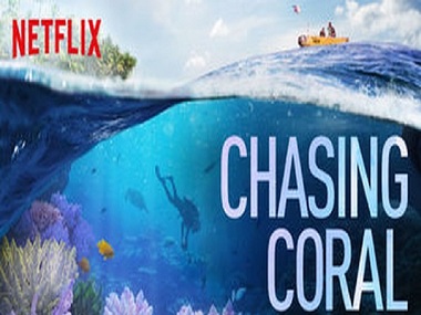 Chasing Coral review: A stunning wake up call on climate woes for those who love nature Chasing Coral review: A stunning wake up call on climate woes for those who love nature