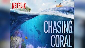 Chasing Coral review: A stunning wake up call on climate woes for those who love nature