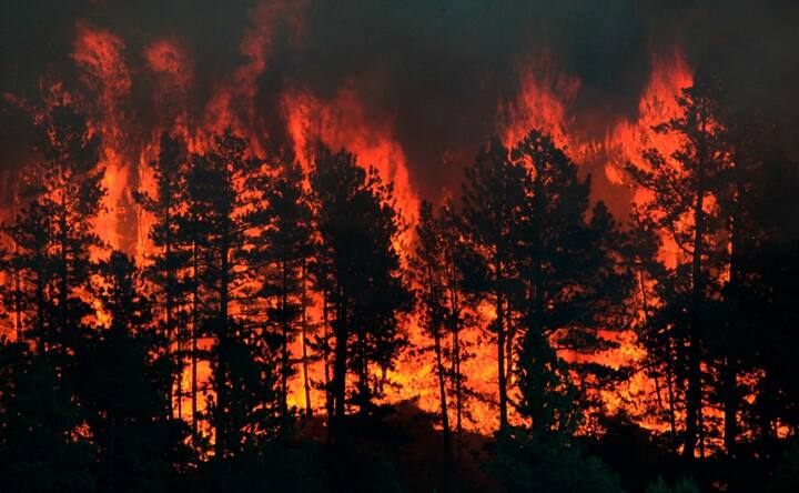 Thousands evacuated as wildfires spread across western US, Canada