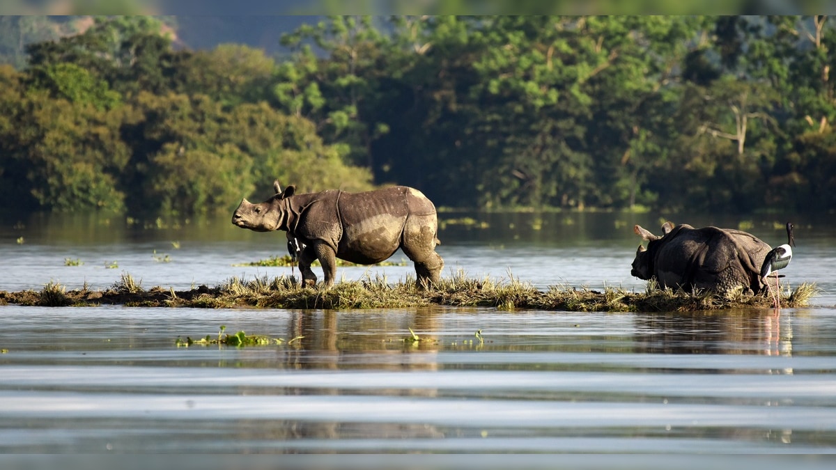 We The Change: Climate change is accelerating floods and India needs enhanced forecasting to adapt