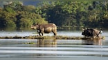 We The Change: Climate change is accelerating floods and India needs enhanced forecasting to adapt