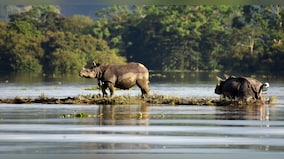 We The Change: Climate change is accelerating floods and India needs enhanced forecasting to adapt