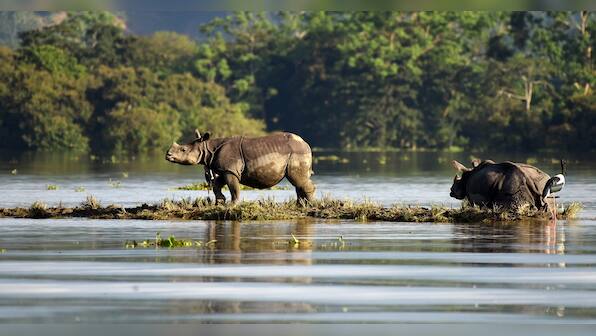 We The Change: Climate change is accelerating floods and India needs enhanced forecasting to adapt
