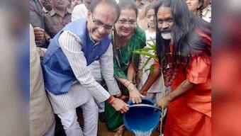 Madhya Pradesh govt eyes Guinness World Record by planting six crore saplings along Narmada
