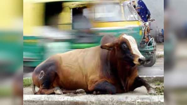 Kerala RSS defends stand on beef ban, releases handbook to 'educate' people on the ills of cow meat