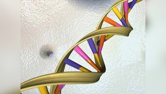 New technique helps program cells like a computer to fight cancer and other serious conditions