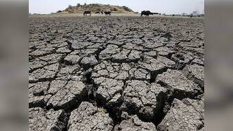 The inheritance of crop losses: How are Centre's insurance schemes faring in drought-hit Tamil Nadu?