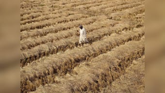 Draw up strategy for doubling farmers' income by 2022: Centre tells states