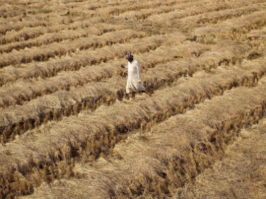 CAG picks holes in crop insurance schemes, raps govt for poor project rollout in 2011-16 CAG picks holes in crop insurance schemes, raps govt for poor project rollout in 2011-16