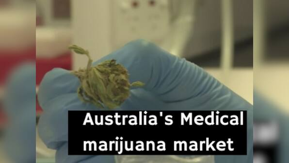 Watch: Australia cautiously enters medical marijuana market