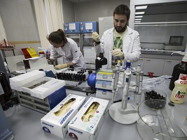 Russian doping scandal: IAAF authorises eight more athletes to compete under neutral flag Russian doping scandal: IAAF authorises eight more athletes to compete under neutral flag